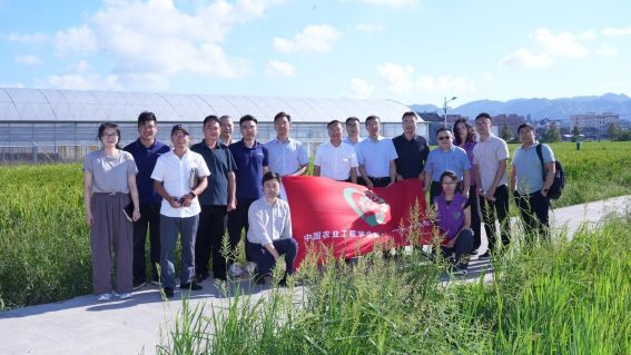 图片12.jpg